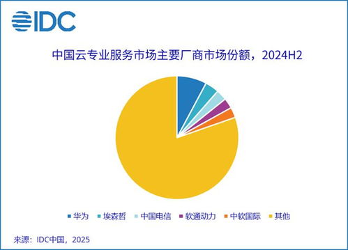 2024下半年中國云專業(yè)與管理服務市場 整體收入235.6億元，企業(yè)管理服務驅(qū)動11.2%增長